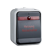 Heizungsnotschalter 2-polig 10A AquaTop Steckklemme licht/basaltgrau