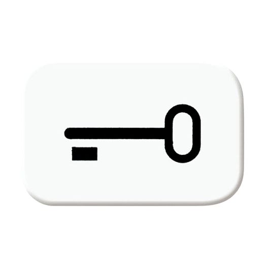 Tastersymbol mit Symbol Schl�ssel alpinwei� - balance�SI / R
