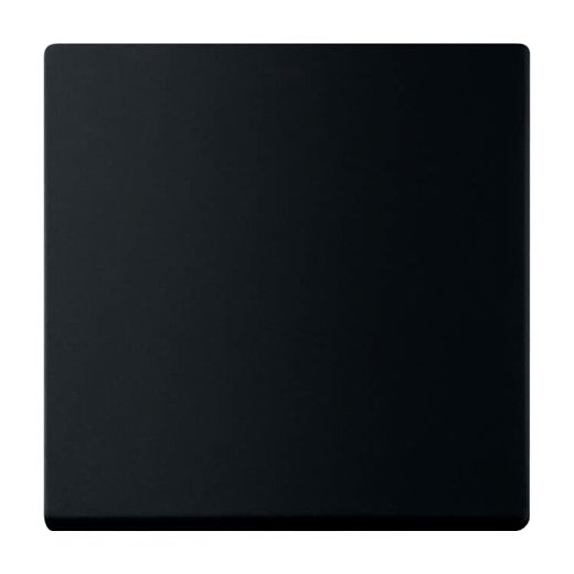 Wippe 1-fach f�r Schalter/Taster schwarz matt - Plattform 63