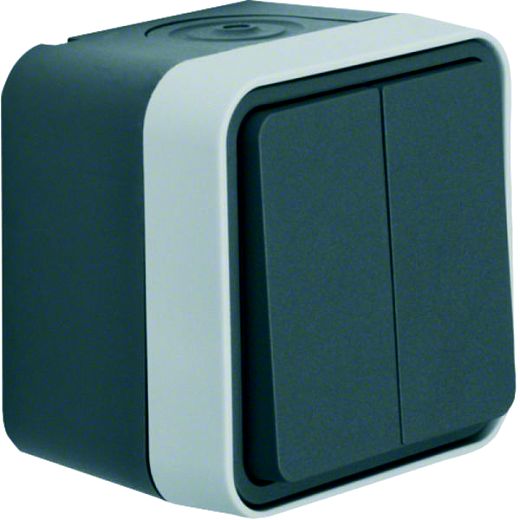 W.1 IP55 Serientaster mit Schlie�erkontakte grau/lichtgrau m