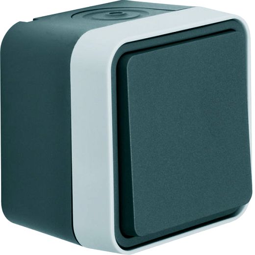 W.1 IP55 Taster mit Schlie�ergrau/lichtgrau matt