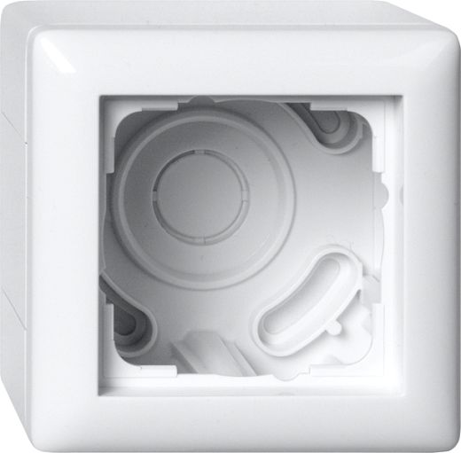 AP-Geh�use 1f + Rahmen Standard 55 Reinwei�