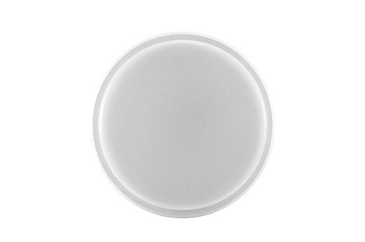 LEDWall-Mounted-P Rd300-21W