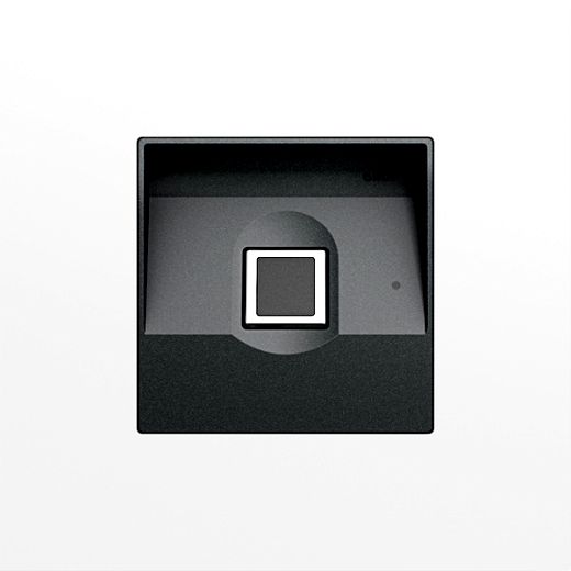 Gira Keyless In Fingerprintmodul System 106 Verkehrswei�(lac