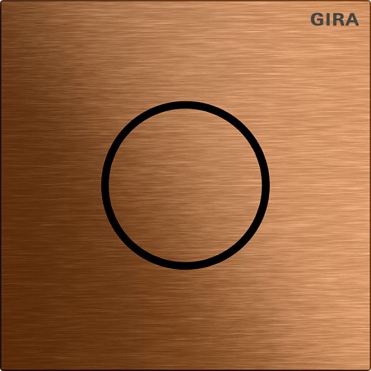 Sprachmodul System 106 Bronze