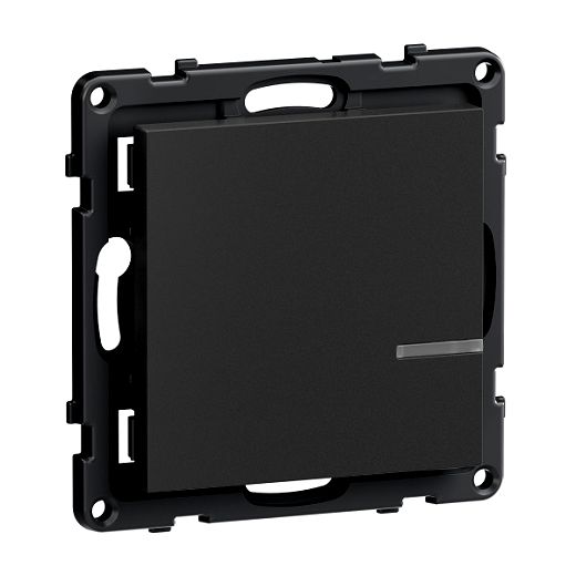 Seano with Netatmo Wandsender1-Fach Farbe: Anthrazit
