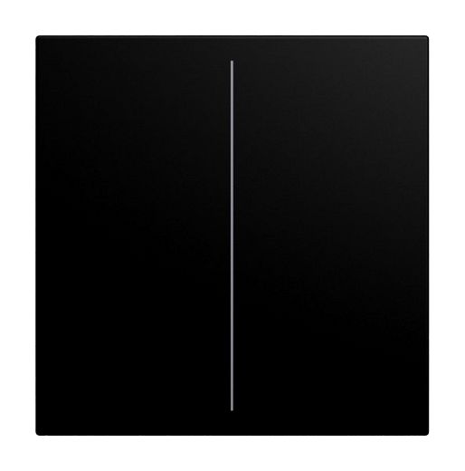 Abdeckung f�r Keypad 2-fach schwarz matt - balance�SI