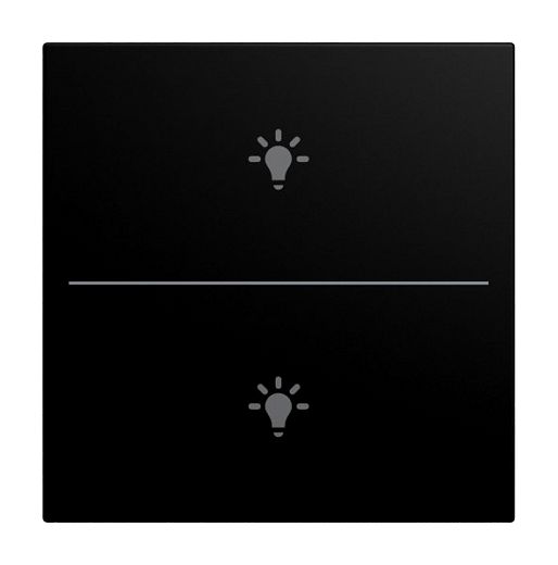 Abdeckung f�r Keypad 2-fach mit Symbol Licht schwarz matt -