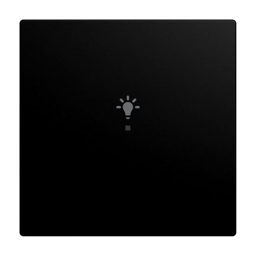 Wippe 1-fach f�r flex, f@h, KNX mit Symbol Licht schwarz mat