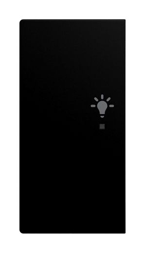 Wippe 2-fach f�r flex, f@h, KNX links Symbol Licht schwarz m