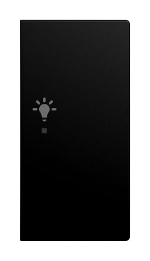 Wippe 2-fach f�r flex, f@h, KNX rechts mit Symbol Licht schw