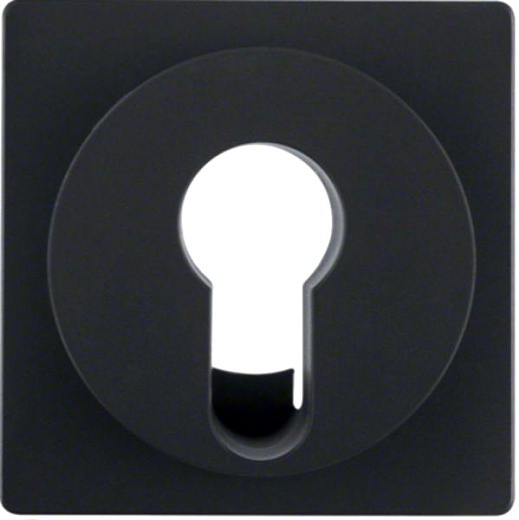 Q.x Zentralst�ck f�r DIN-Profil- Halbzylinder