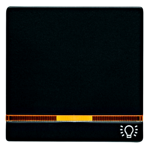 Q.x Wippe mit Linse und Aufdruck Symbol