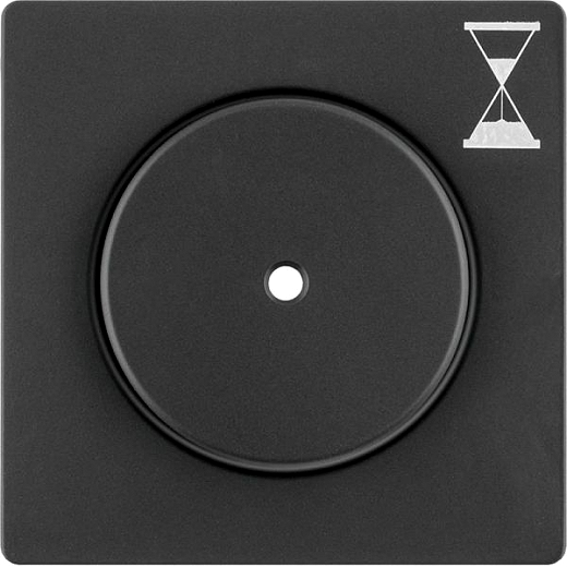 Q.x Zentralst�ck f�r Zeit- Relais-Schalteinsatz, anthrazit