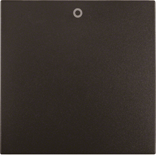 Wippe Auf 0 und Befest IP44 S.1 anthrazit matt