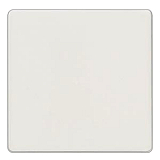 Siemens 5TG6201 Delta I-Sys.Wippe neutral titanweiss