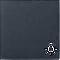 GIRA 328528 Wippe, mit Symbol "Licht'' - anthrazit