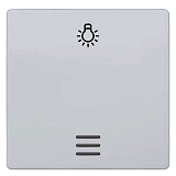 Siemens 5TG6246 Delta I-System Wippe Licht+Fenster aluminiummeta