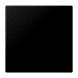 Wippe f. Schalter/Taster