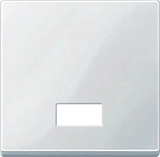 Merten 433819 Wippe mit rechteckigem Symbolfenster polarweiss