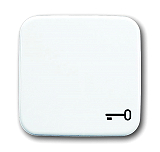 "Busch & Jaeger 2520 TR-214 Mit Symbol ""Schl�ssel"". Als Abdeck