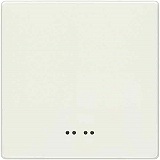 Siemens 5TG7140 Delta I-Sys.Wippe + Fenster, tws