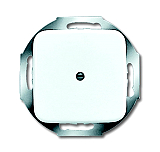 Busch & Jaeger 2527-214 Zentralscheibe mit Tragring