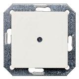 Siemens 5TG2558 Delta I-Sys.Blindplatte titanwei�