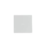Wippe 1-fach f�r Schalter/Taster studiowei� - Plattform 63