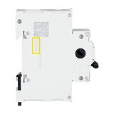 Hauptschalter, 2p, 400V, 63A