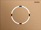 Frontpl. T�rstationsmodul System 106 Bronze