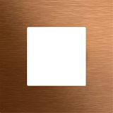 Frontpl. Gira Keyless In Fingerprintmod. System 106 Bronze