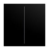 Abdeckung f�r Keypad 2-fach schwarz matt - balance�SI