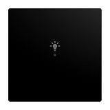 Wippe 1-fach f�r flex, f@h, KNX mit Symbol Licht schwarz mat