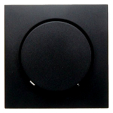 S.1/B.x Zentralst�ck f�r Drehdimmer anth matt