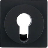 Q.x Zentralst�ck f�r DIN-Profil- Halbzylinder