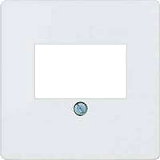 Siemens 5TG2593-2 Delta I-Sys.TAE-Abdeckplatte ews