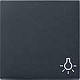 GIRA 328528 Wippe, mit Symbol "Licht'' - anthrazit