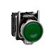 Leuchtdrucktaster, XB4, Metall, 22mm, gr�n, LED, glatte Kalo