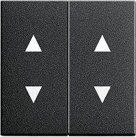 Gira Wippe 2f Pfeile System 55 Anthrazit