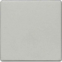 Siemens 5TG6241 Delta I-System Wippe neutral alumiummetaliic