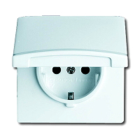 Busch-Jger 20EUGK-32 Allwetter 44-SCHUKO-STD-Eins.m.Klappd.ws