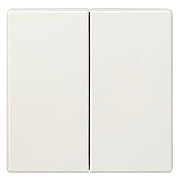 Siemens 5TG7145 Delta STYLE WIPPE-2F NEUTR. TSW