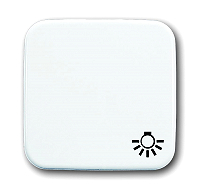 "Busch & Jaeger 2520 LI-214 Mit Symbol ""Licht"". Als Abdeckung