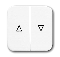 Busch & Jaeger 2504-214 Wippe Mit Aufdruck.