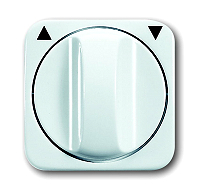 Busch & Jaeger 2542 DR-214 Zentralscheibe mit Drehgriff