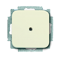 Busch-jaeger 2538-212 Blindzentralscheibe mit Tragring