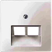 MERTEN 298019 ZENTRALPLATTE FR UAE-EINSATZ, 2FACH POLARWEISS, M