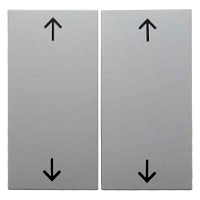 S.1/B.3/B.7 Serienwippe mit Symbol fr Gruppentaster, BERKER