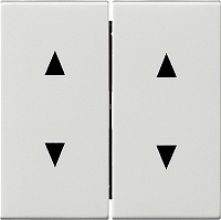 Gira 329703 Wippe 2f Pfeile System 55 Reinwei�